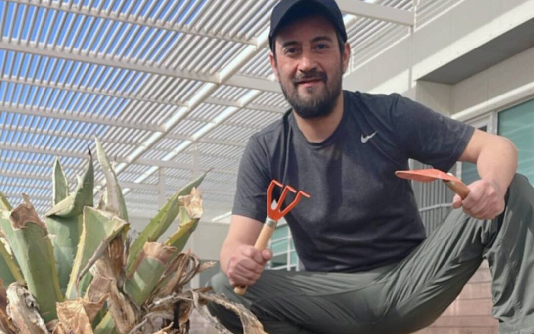 A garden for the OSF